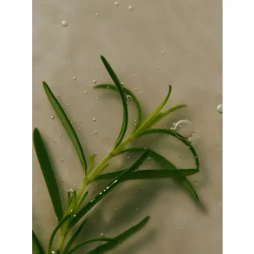   Aromatica - Rosemary Scalp Scaling Sampon, 180ml - Rozmaringos sampon