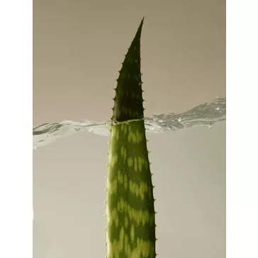 Aromatica - Soothing Aloe Vera Gel, 180ml - Géles ápoló