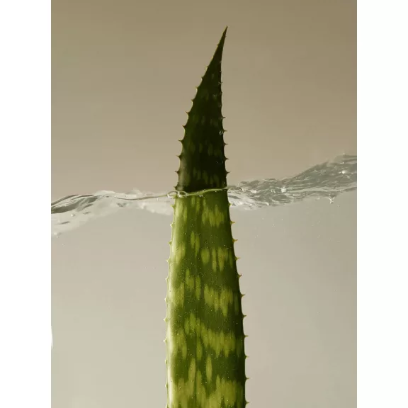 Aromatica - Soothing Aloe Vera Gel, 180ml - Géles ápoló
