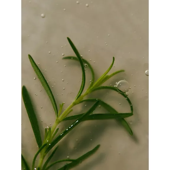 Aromatica - Rosemary Scalp Scaling Shampoo, 400ml - Rozmaringos sampon