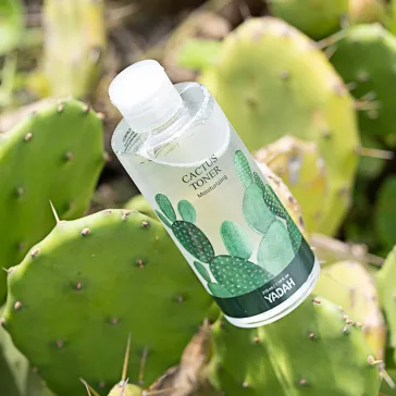   Yadah Cactus Moisturizing Toner 210 ml - Pore-cleansing toner