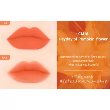   BLACK ROUGE Cream Matt Rouge 3 CM 16 heyday of pumpkin flower - Matt folyékony rúzs
